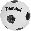 2pk Playhem Sport Balls - 3 of 3