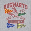 Harry Potter Boys' Hogwarts Quidditch Youth Short Sleeve T-Shirt Kids - 3 of 4