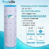 Poolzilla Replacement Pool Filter for Jandy CS200, PJANCS200, R0462400, Unicel C-8418, Filbur FC-0823, Aladdin 35002, 200 - 2 of 4