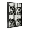 Stupell Industries Photobooth Style Cat Black Framed Giclee Art - 3 of 4