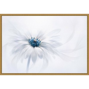 23" x 16" Serene Flower by Jacky Parker Framed Wall Canvas White - Amanti Art: Modern Botanical Art, Gold Frame, Sawtooth Back Mount - 1 of 4