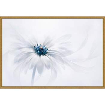 23" x 16" Serene Flower by Jacky Parker Framed Wall Canvas White - Amanti Art