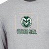 NCAA Colorado State Rams Men's Gray Long Sleeve T-Shirt - 3 of 3