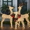 LuxenHome Set of 3 Deer Family Lighted LED Indoor Outdoor Holiday Decoration White - 2 of 4