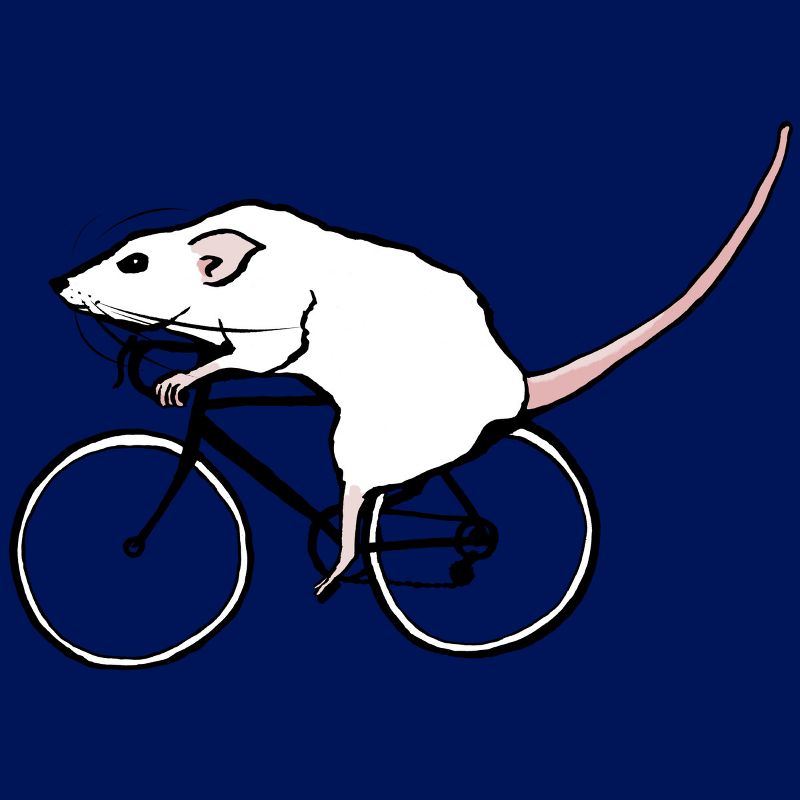 Junior's Design By Humans Cycling Rat By TeaandInk T-Shirt, 2 of 4