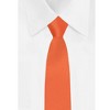 Jacob Alexander Young Boys' 11" Solid Color Pre-Tied Zipper Neck Tie - 4 of 4