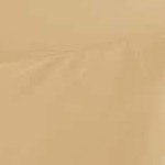 camel gold