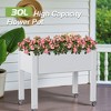 Lirago,17.72"D*30.04"W*28.9"H,Mobile Raised Garden Bed with Wheels - Includes Built-in Water Storage & Planting Space - 4 of 4