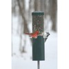 Birds Choice Squirrel Proof Classic Bird Feeder with Pole and Squirrel Baffle – Green: UV Resistant, Cast Aluminum Ports - 2 of 4
