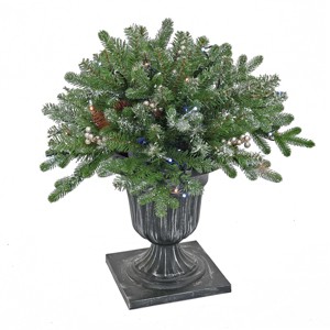 24" Prelit LED Snowy Morgan Spruce Porch Bush Twinkly Lights - National Tree Company - 1 of 4