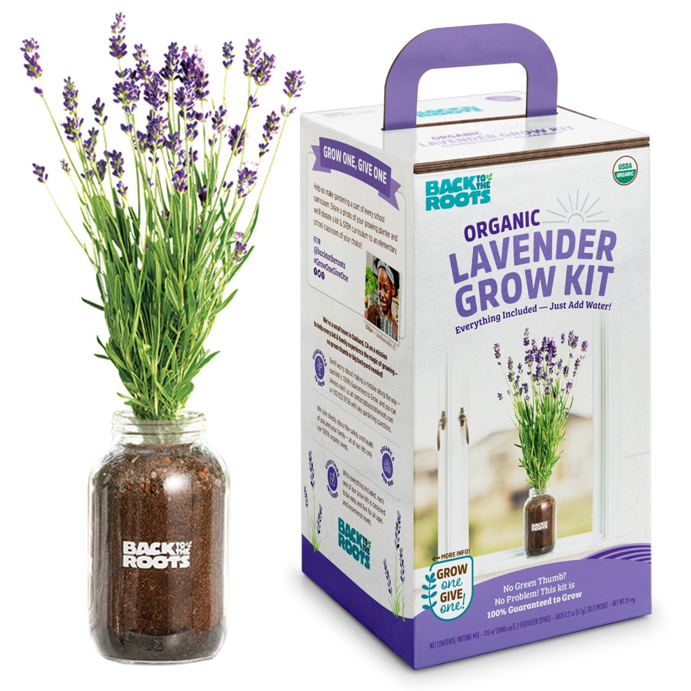 Back to the Roots Organic Lavender Grow Kit  4 Pieces