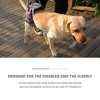 Rear leg support dog harness to help rehabilitate the hind limbs of older dogs with weak hind legs, disability, adjustable, retractable - 2 of 4