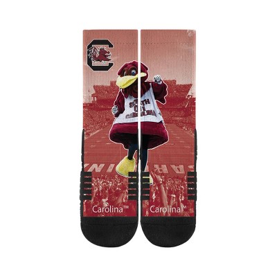 NCAA South Carolina Gamecocks Adult Premium Socks - M/L