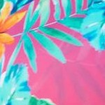 hula palm