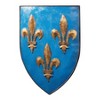 Design Toscano Grand Arms of France Wall Shield Collection- Fleur-de-Lis Shield - 2 of 3