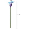 Duovlo 20pcs Calla Lily Bridal Wedding Bouquet Lataex Real Touch Artificial Flower Home Party Decor (Purple in Blue) - 4 of 4
