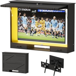 PAKASEPT Wooden Outdoor TV Enclosure, Weatherproof TV Cover for Maximum 58" Screens, Lockable with Adjustable Dual-Arm TV Wall Mount Bracket & Light - 1 of 4