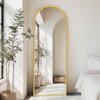 Grungis Rectangle Full Length Mirror,Full Body Mirror Floor Standing Hanging or Leaning Wall,Wall Mirror for Bedroom,Living Room - 3 of 4