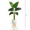 Nearly Natural 5-ft Travelers Palm Artificial Plant in White Planter with Stand (Real Touch) - 2 of 4
