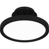Quoizel Lighting Outskirts 1 - Light Semi-Flush Mount in  Earth Black - 4 of 4