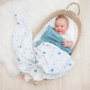 Living Textiles Baby Organic Muslin Swaddle Blanket Set - Banana Leaf - 2pk - 4 of 4