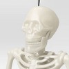 24" Poseable Skeleton Halloween Decorative Prop Iridescent - Hyde and EEK! Boutique™ - 3 of 3