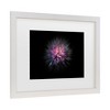 Trademark Fine Art - Brian Carson Backyard Flowers 53 Matted Framed Art - image 3 of 4