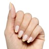 Olive & June Press-On Fake Nails - 42ct - 4 of 4
