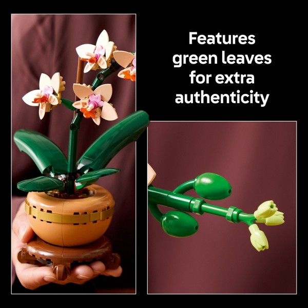 LEGO Botanicals Mini Orquídea Set de Construcción para Adultos, Decoración para Hogar u Oficina 10343 4