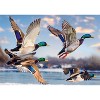 Trefl Premium Plus Mallards in Flight 1000 Piece Puzzle - 2 of 4