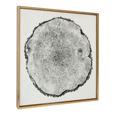 Kate and Laurel Sylvie Tree Rings Linen Framed Canvas by Emiko and Mark Franzen of F2Images