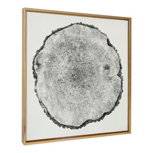 Kate and Laurel Sylvie Tree Rings Linen Framed Canvas by Emiko and Mark Franzen of F2Images - 1 of 4