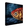 Trademark Fine Art - Piet Flour Isidor The Goldfish Matted Framed Art - 2 of 4