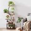 61 Inch Indoor Tall Plant Stand With Grow Light,8 Tiered S-Shaped Metal Plant Stand,Metal Plant Display Stand For Home Patio-Coolbibila - 2 of 4