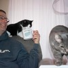 Pavilion Gift Company - Purrfect - 18 oz Mug - Drinkware - 2 of 4