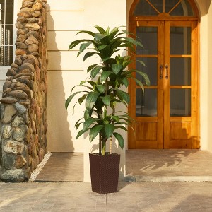 5-6ft UV & Sunproof Artificial Dracaena Tree for Indoor/Outdoor - Faux Silk Plant in Tall Planter, Tall Faux Tree for Home & Garden Decor - 1 of 4