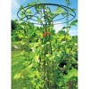 Gardener's Supply Company Essex Trellis For Climbing Plants Outdoor | Sturdy Upright Garden Trellis for Vines, Tomatoes, Peas & Other Live Plants - 3 of 4
