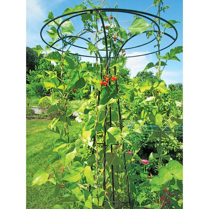 Gardener's Supply Company Essex Trellis For Climbing Plants Outdoor | Sturdy Upright Garden Trellis for Vines, Tomatoes, Peas & Other Live Plants, 3 of 6