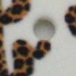 white cactus cheetah