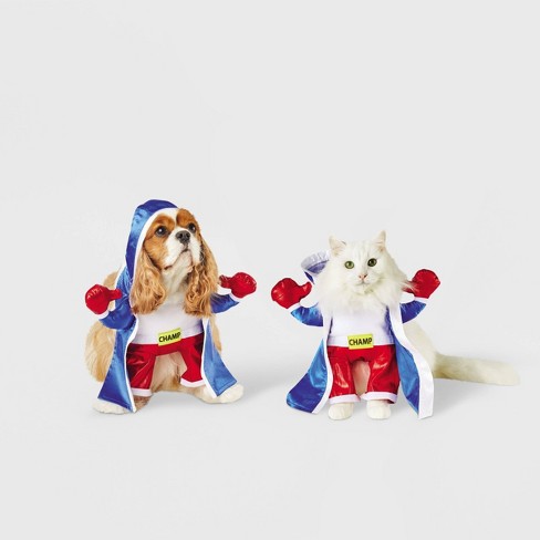 costumes for boxer dogs