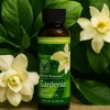 Di'Aroma Gardenia Aromatherapy Oil 8oz – Intense Floral Home Fragrance for Diffusers, Burners & Potpourri Use, Natural Long Lasting Gardenia Aroma - 3 of 4