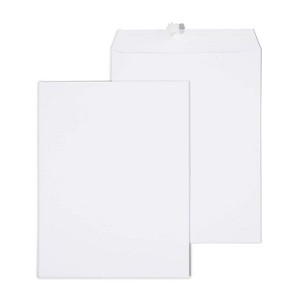 MyOfficeInnovations Gummed Catalog Envelopes 10"L x 13"H White 100/Box (295840N)  - 1 of 4