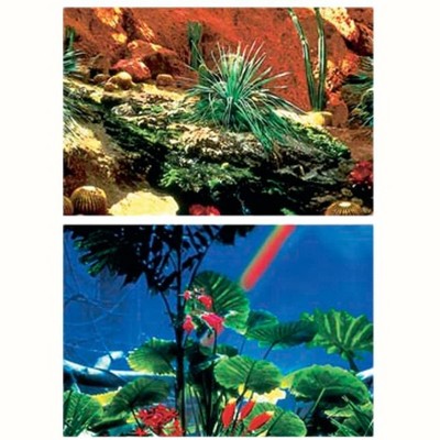 Penn-Plax Cactus Garden/Rainforest Aqaurium Background Decor