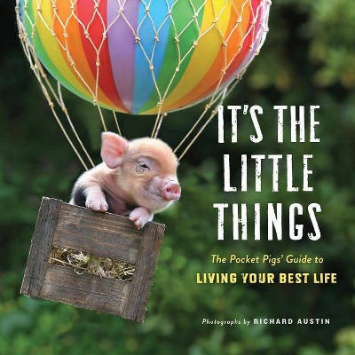 It's the Little Things - Richard Austin(Hardcover)