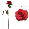 Floral Home 20" Red Open Rose - 48-Piece - 2 of 2