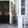 DR.Planzen 6FT Artificial Tree, Narrow Artificial Christmas Tree with Black Stand, Unlit Balsam Design Christmas Tree for Indoor Decor - 3 of 4