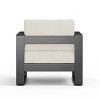 1pc Outdoor Club Chair, Rust-Resistant Aluminum Frame & Olefin Cushions, Modern Patio Seating for Garden or Deck - Coolbibila - 3 of 4