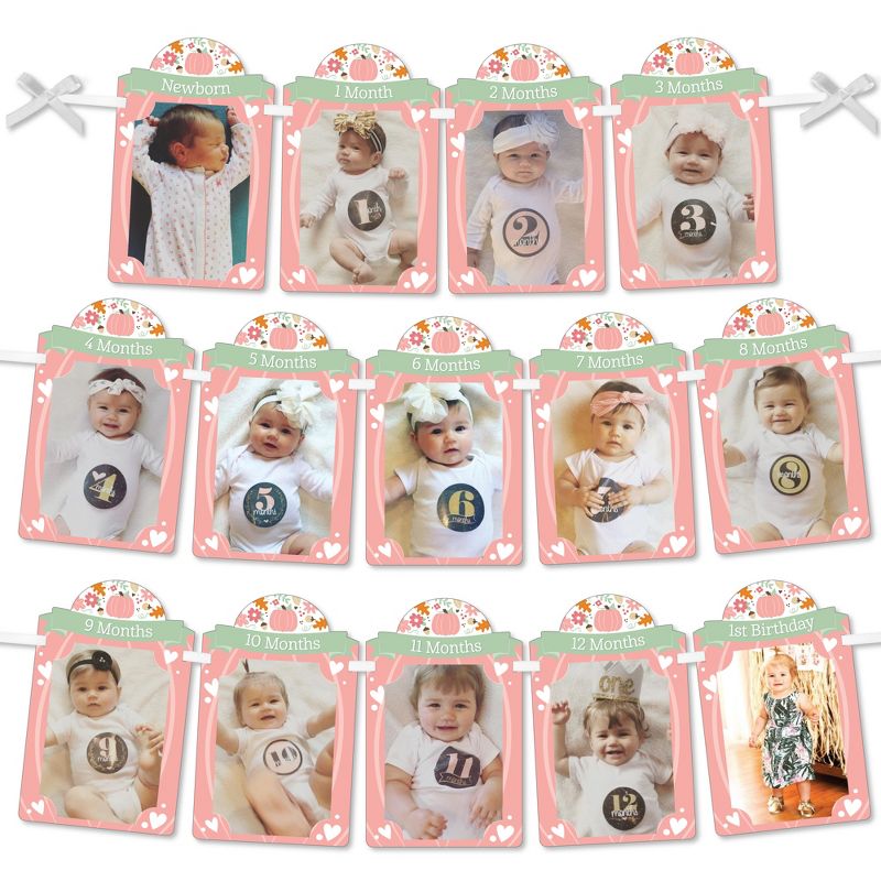 Big Dot of Happiness 1st Birthday Girl Little Pumpkin - DIY Fall First Birthday Party Decor - 1-12 Monthly Picture Display - Photo Banner, 1 of 9