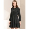 INSPIRE CHIC Women's Casual Above Knee Ruffle Hem A-Line Long Sleeve Dress - 2 of 4