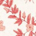 ivory/rose